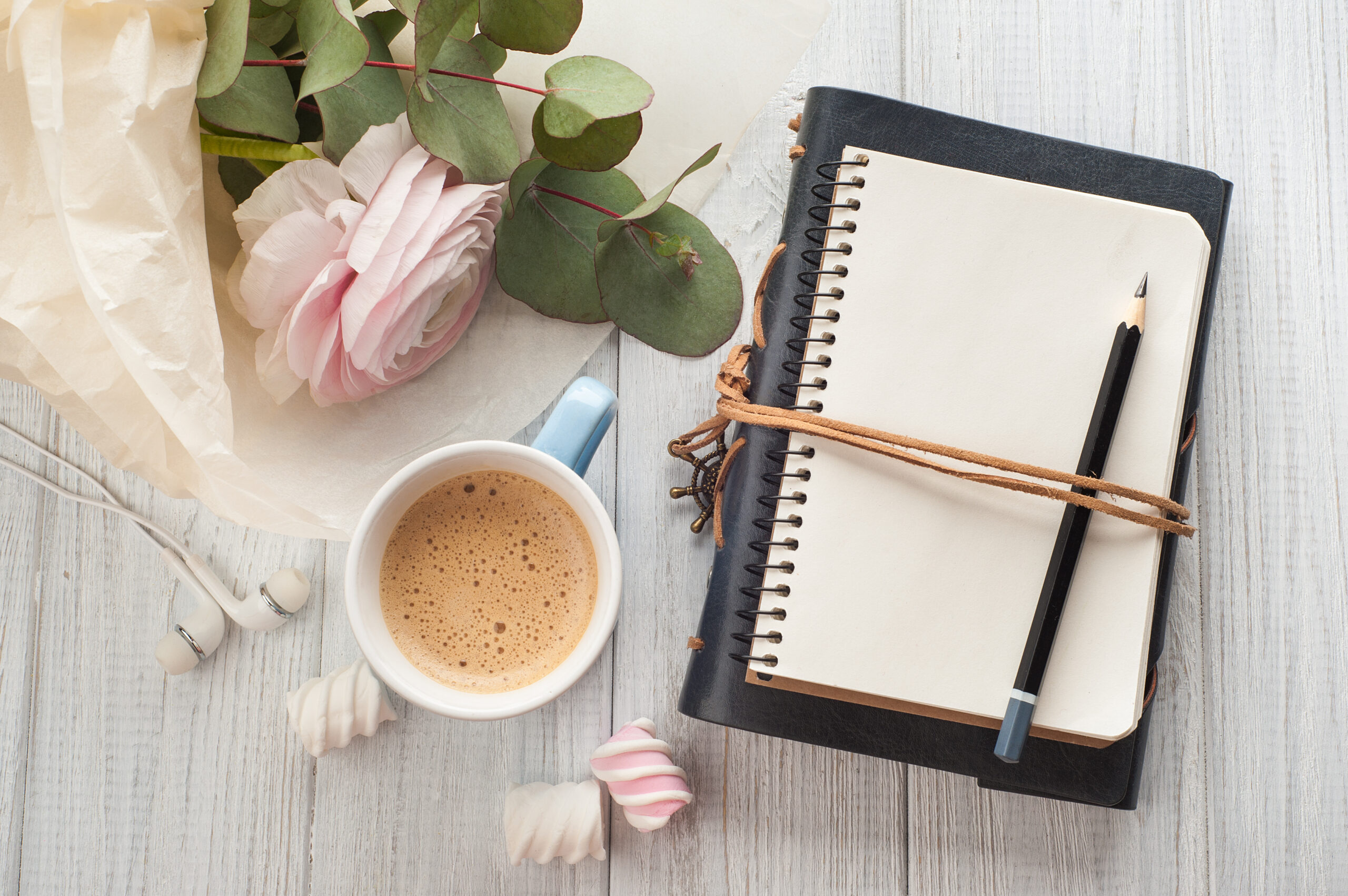 breves de coaching