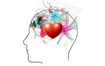 intelligence-emotion intelligence émotionnelle