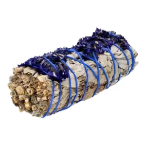 Sauge blanche fleurs bleues 11cm
