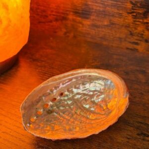 Coquille Ormeau 1