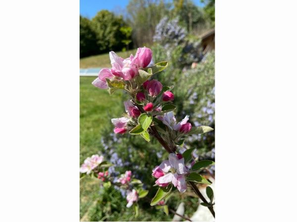 Inspirations du Printemps